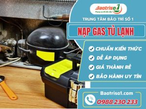 Nap Gas Tu Lanh Baotriso1