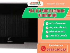 Sua Lo Vi Song Electrolux Baotriso1