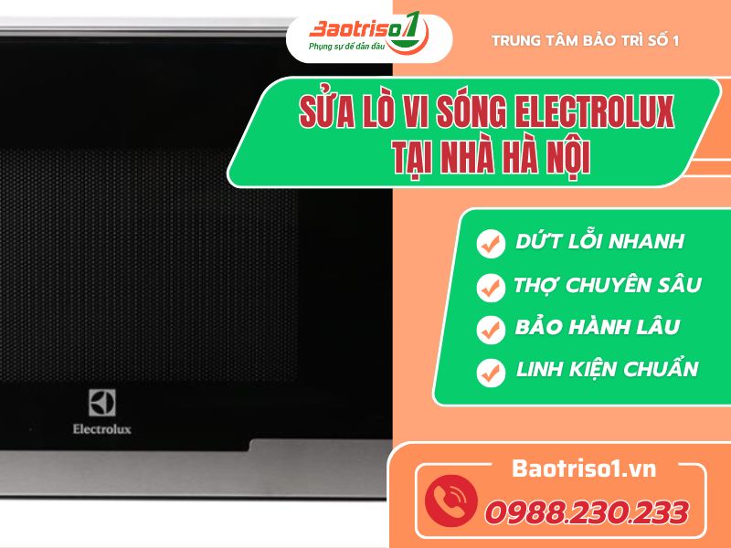 Sửa lò vi sóng Electrolux tại nhà Hà Nội