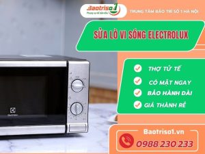 Sua Lo Vi Song Electrolux Tai Nha Ha Noi