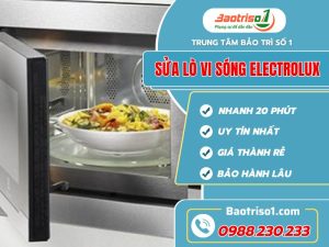 Sua Lo Vi Song Electrolux Baotriso1