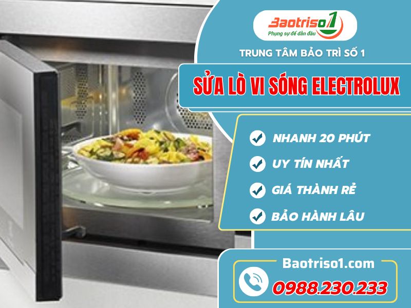 Sửa lò vi sóng Electrolux tại nhà triệt để lỗi nhanh, giá thành rẻ 