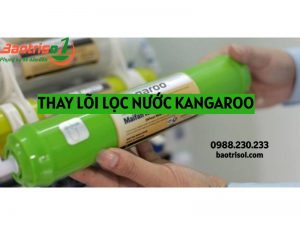 Thay Loi Loc Nuoc Kangaroo