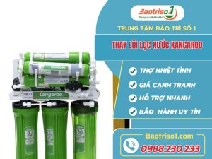 Thay Loi Loc Nuoc Kangaroo Baotriso1