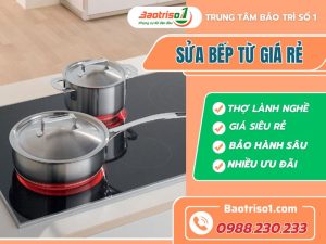 Sửa Bếp Từ Giá Rẻ Baotriso1