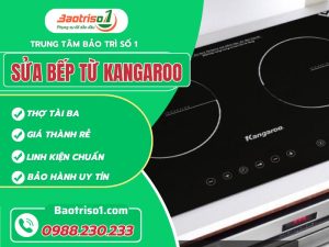 Sửa Bếp Từ Kangaroo