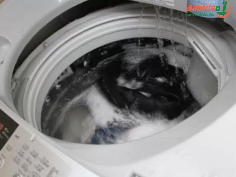 Lỗi máy giặt đường xả nước bị tắc