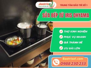 Sua Bep Tu Iris Ohyama Baotriso1