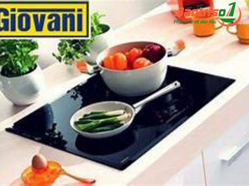 10 lý do bạn nên chọn dịch vụ sửa chữa bếp từ Govani tại Baotriso1