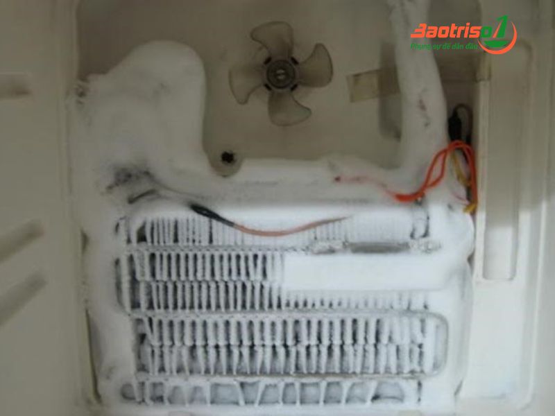 Sửa tủ lạnh bị đóng đá tại nhà uy tín