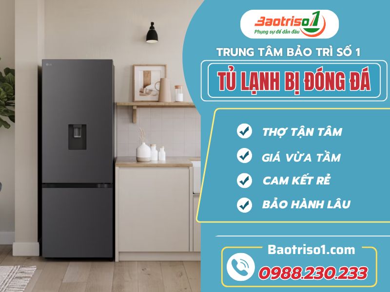 Sửa tủ lạnh bị đóng đá tại nhà uy tín, giá ưu đãi 30%
