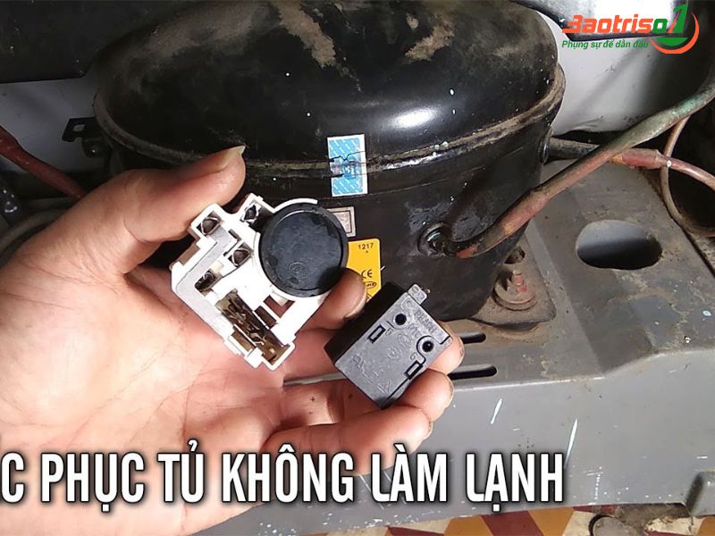 Tủ lạnh không mát ngăn dưới