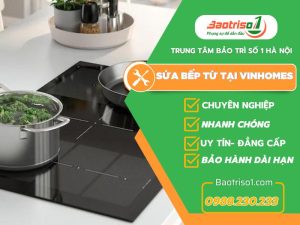 Sửa Bếp Từ Tại Vinhomes Baotriso1