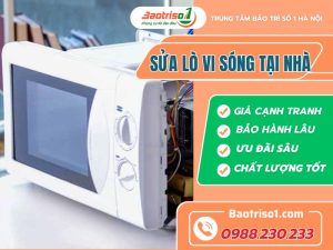 Sửa Lò Vi Sóng Tại Nhà Baotriso1