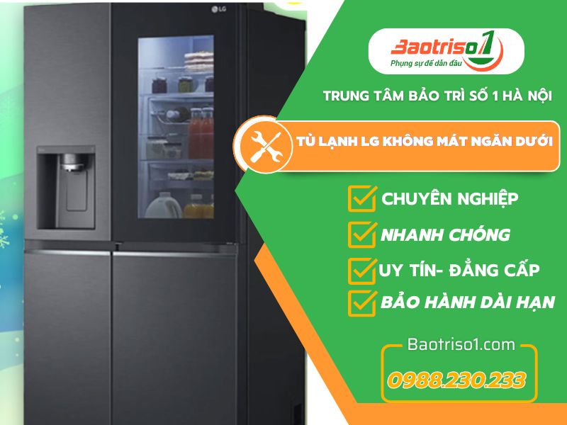 Tủ Lạnh Lg Không Mát Ngăn Dưới Baotriso1