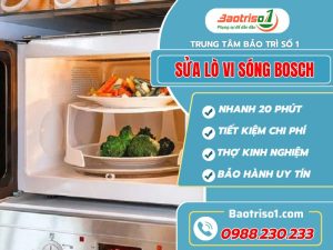 Sua Lo Vi Song Bosch Baotriso1