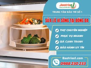 Sua Lo Vi Song Tai Dong Da Baotriso1