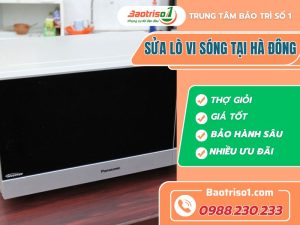 Sua Lo Vi Song Tai Ha Dong Baotriso1