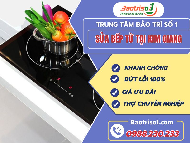 Sửa bếp từ tại Kim Giang nhanh chóng Baotriso1