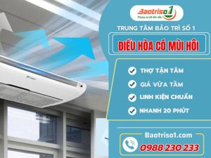 Dieu Hoa Co Mui Hoi Baotriso1