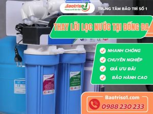 Thay Loi Loc Nuoc Tai Dong Da Baotriso1