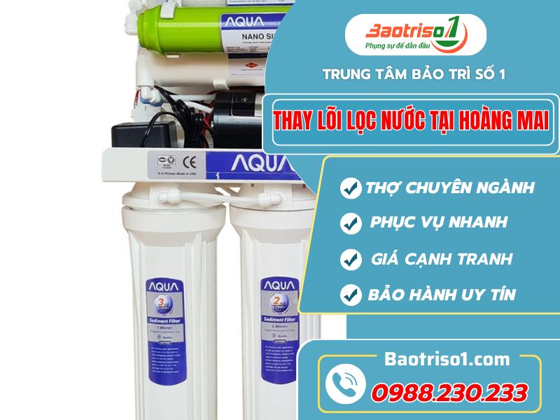 Baotriso1 thay lõi lọc nước tại Hoàng Mai chuẩn kỹ thuật