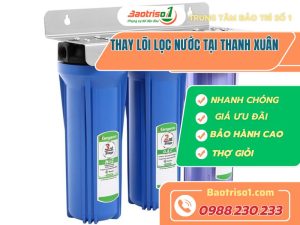 Thay Loi Loc Nuoc Tai Thanh Xuan Baotriso1