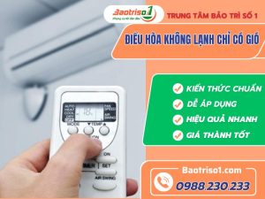 Dieu Hoa Khong Lanh Chi Co Gio Baotriso1 Avartar (2)