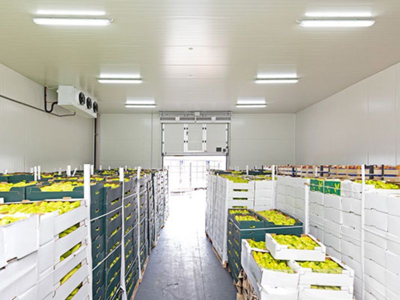 Bảng giá lắp đặt kho lạnh tại nhà Hà Nội