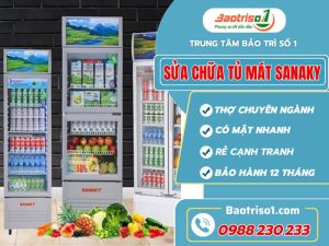 Sửa Chữa Tủ Mát Sanaky (2)
