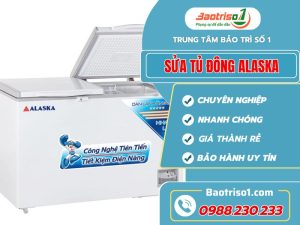 Sửa Tủ đông Alaska