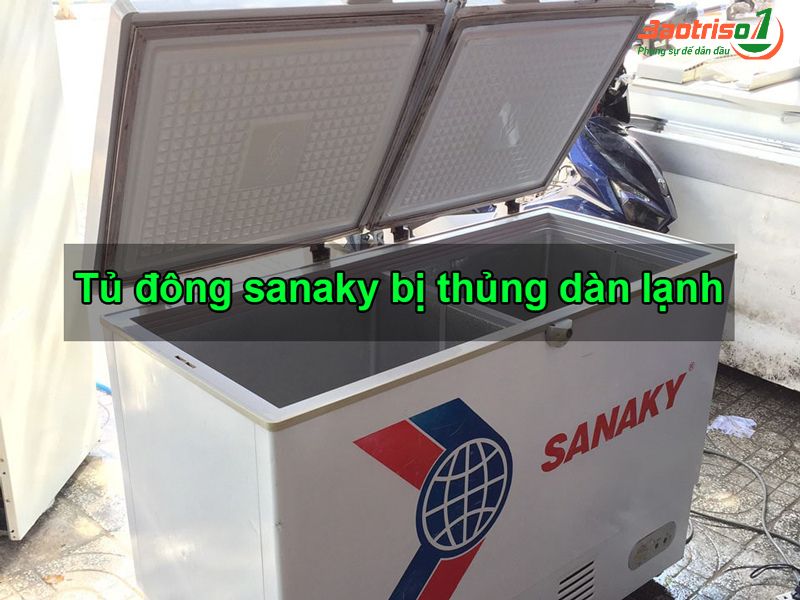 Sửa chữa tủ đông Sanaky các lỗi từ A đến Z