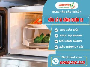 Sửa Lò Vi Sóng 12