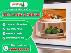 Sua Lo Vi Song Tai Hoang Mai Baotriso1
