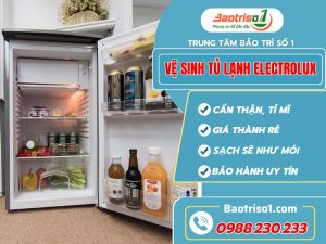 Ve Sinh Tu Lanh Electrolux Baotirso1