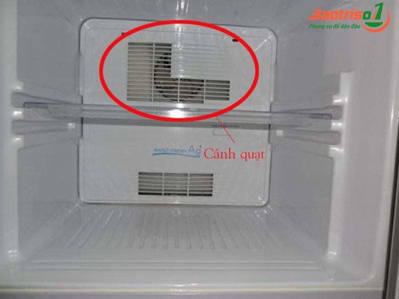 Tủ lạnh phát ra tiếng kêu do cánh quạt bị khô dầu mỡ